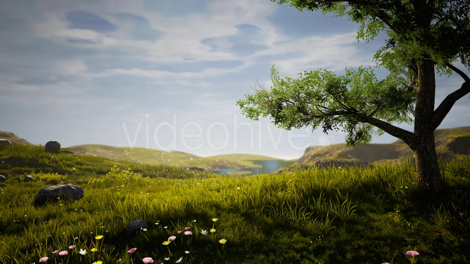 Nature Realastic Background Videohive 19386901 Motion Graphics Image 4