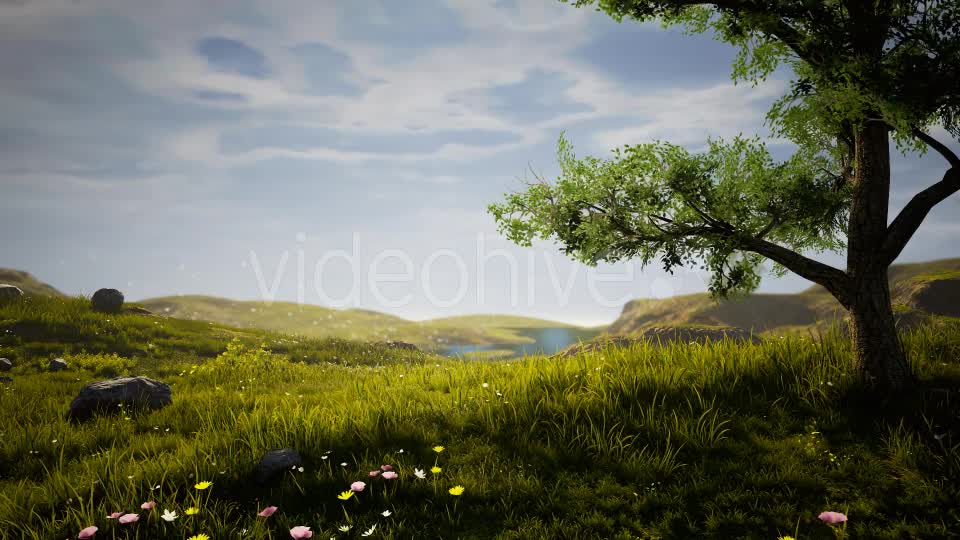 Nature Realastic Background Videohive 19386901 Motion Graphics Image 7
