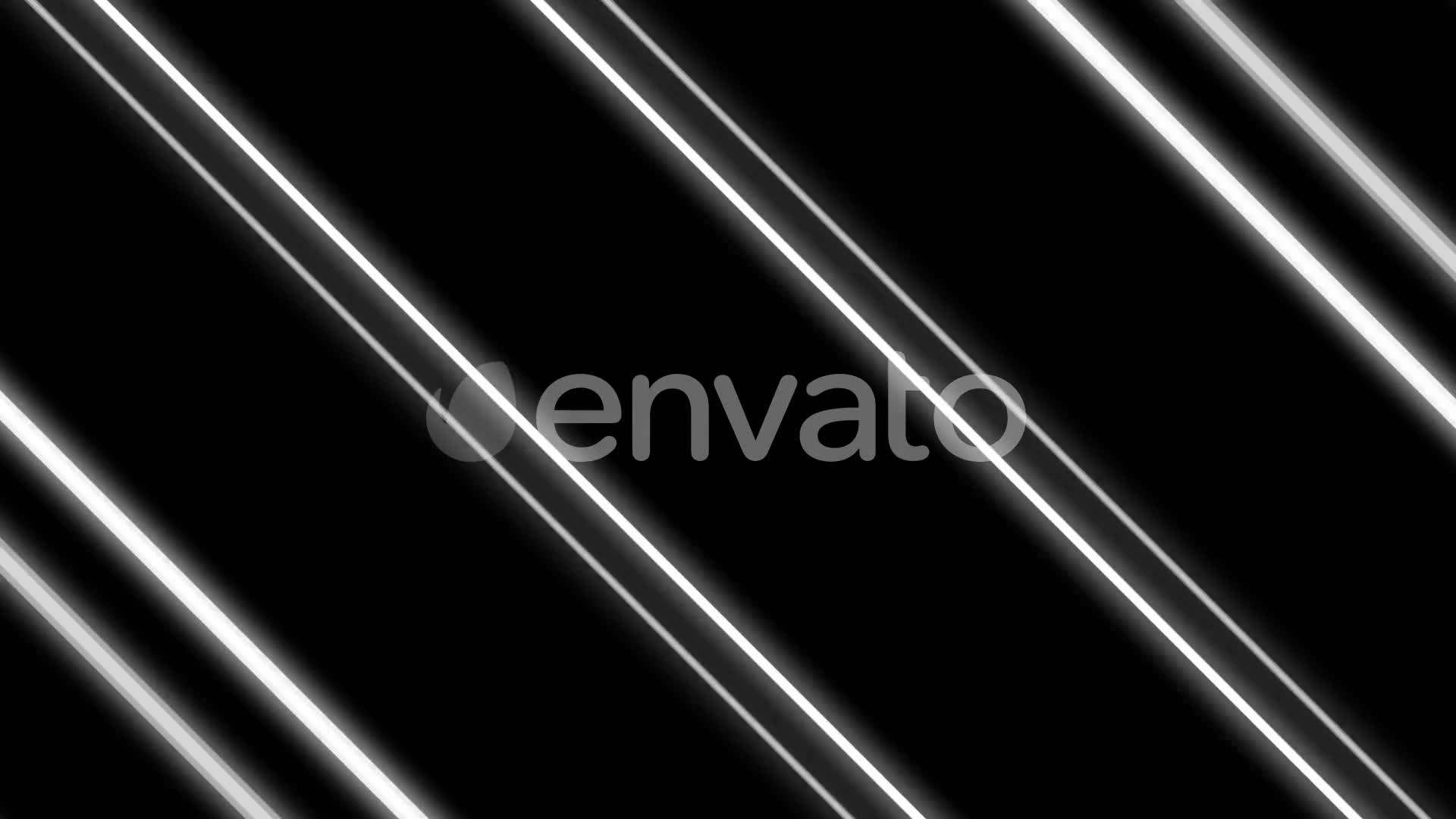 Neon Black And White Videohive 22346455 Motion Graphics Image 2