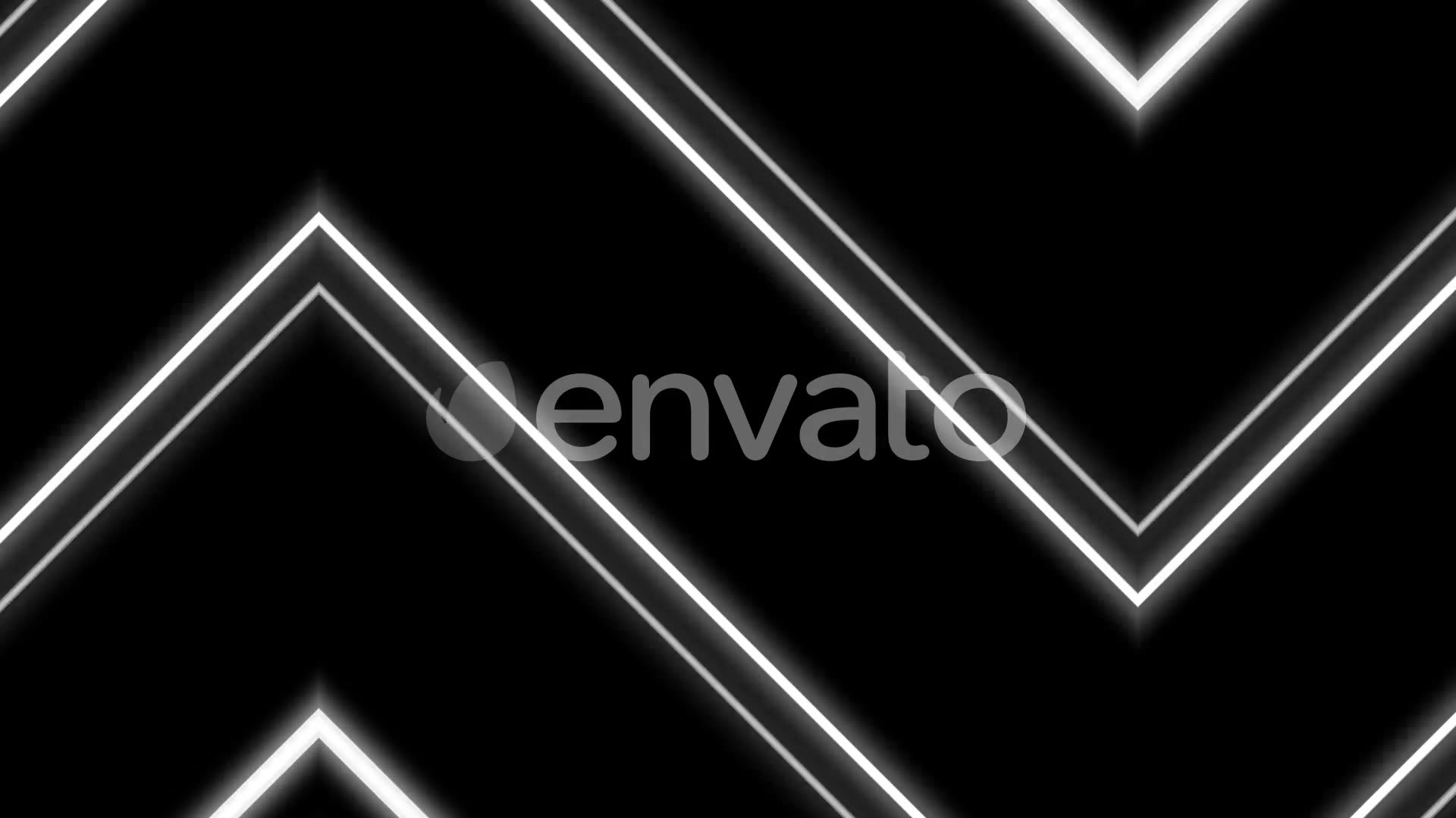 Neon Black And White Videohive 22346455 Motion Graphics Image 3