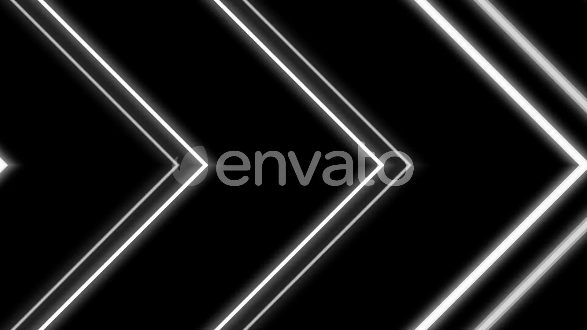 Neon Black And White Videohive 22346455 Motion Graphics Image 5