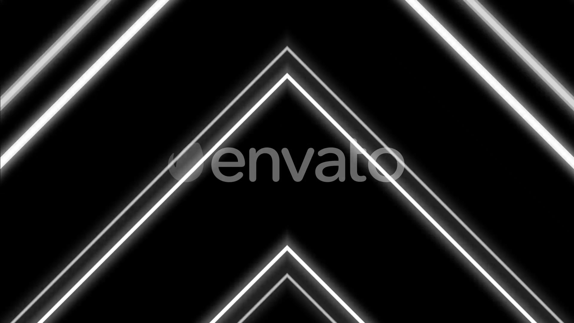 Neon Black And White Videohive 22346455 Motion Graphics Image 6