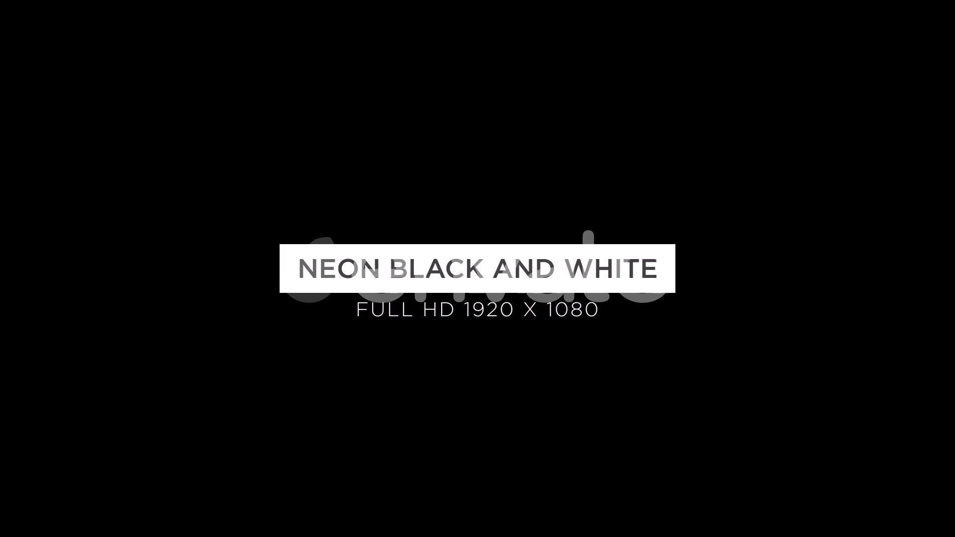 Neon Black And White Videohive 22346455 Motion Graphics Image 8