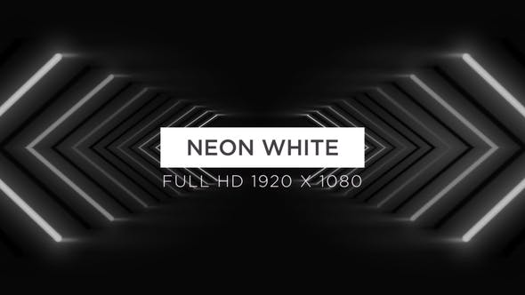 Neon White VJ Loops Background - Videohive Download 24299219