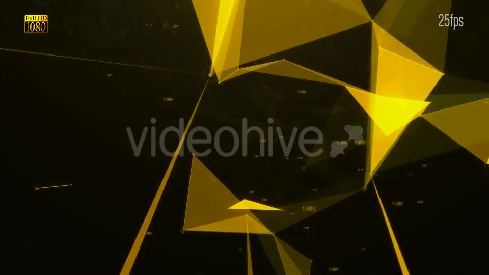 Network Connect Videohive 16212241 Motion Graphics Image 1