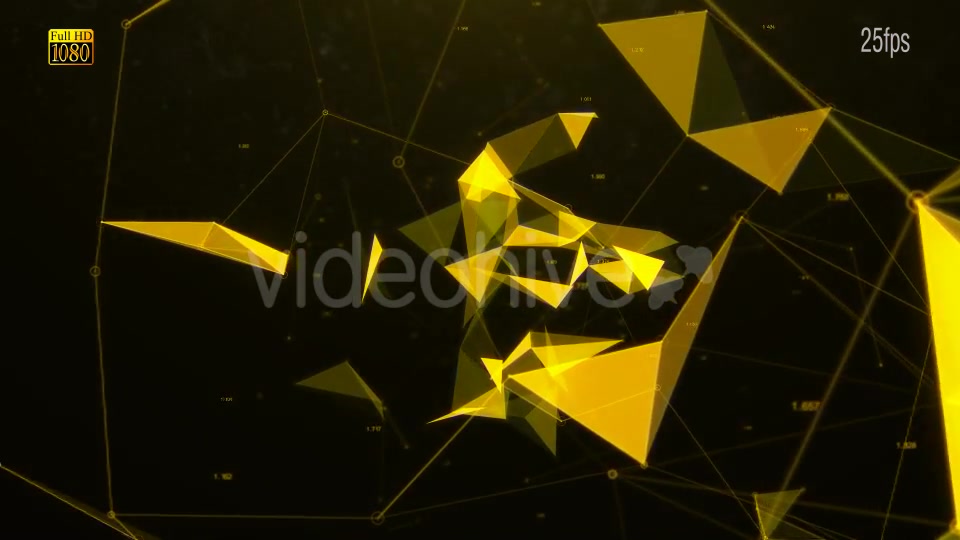 Network Connect Videohive 16212241 Motion Graphics Image 5