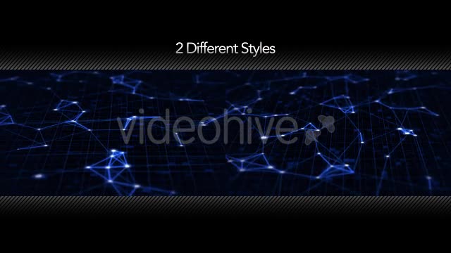 Network Optimization Videohive 16044631 Motion Graphics Image 1