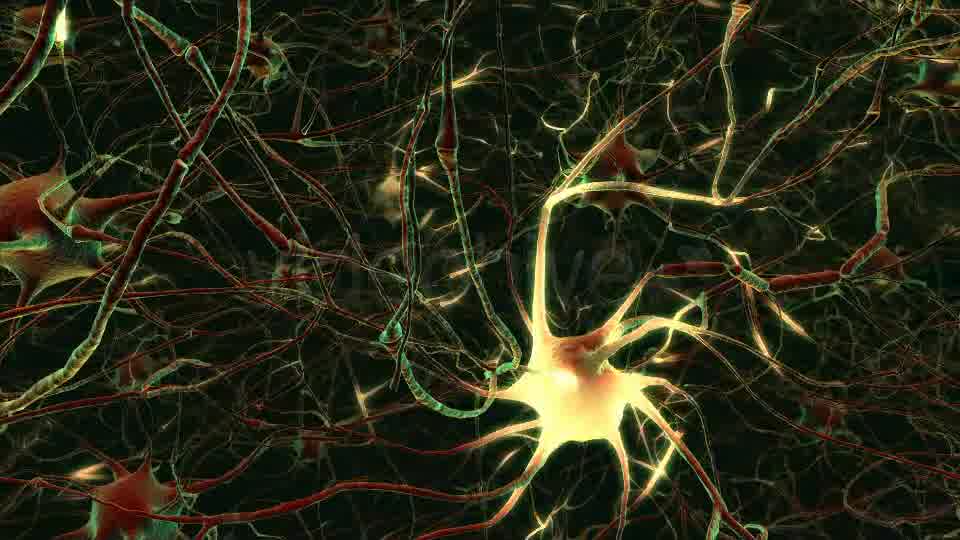 Neurons Videohive 20288386 Motion Graphics Image 11