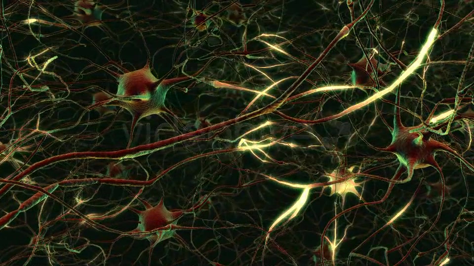 Neurons Videohive 20288386 Motion Graphics Image 4