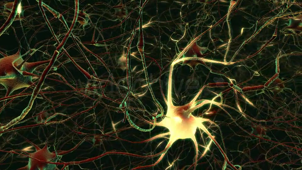 Neurons Videohive 20288386 Motion Graphics Image 5