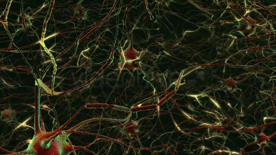 Neurons Videohive 20288386 Motion Graphics Image 6