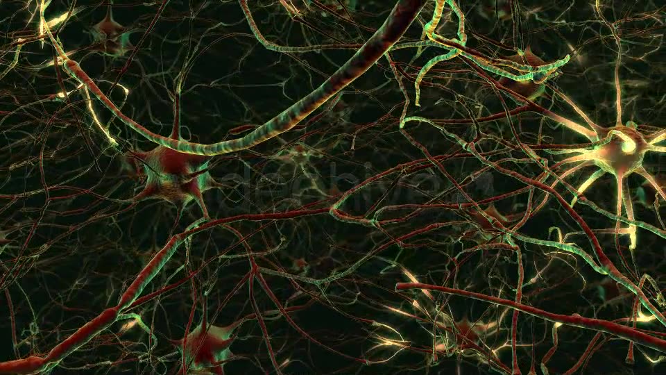 Neurons Videohive 20288386 Motion Graphics Image 7