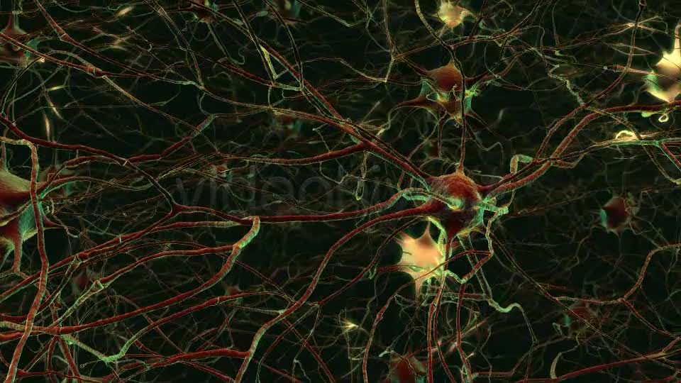 Neurons Videohive 20288386 Motion Graphics Image 8