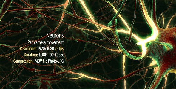 Neurons - 20288386 Videohive Download