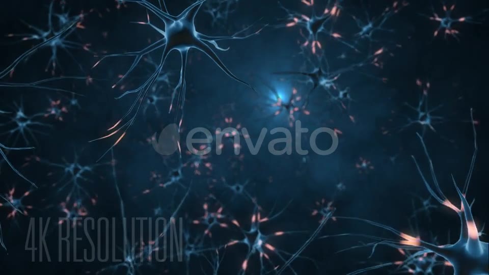 Neurons 4K Videohive 21859058 Motion Graphics Image 2