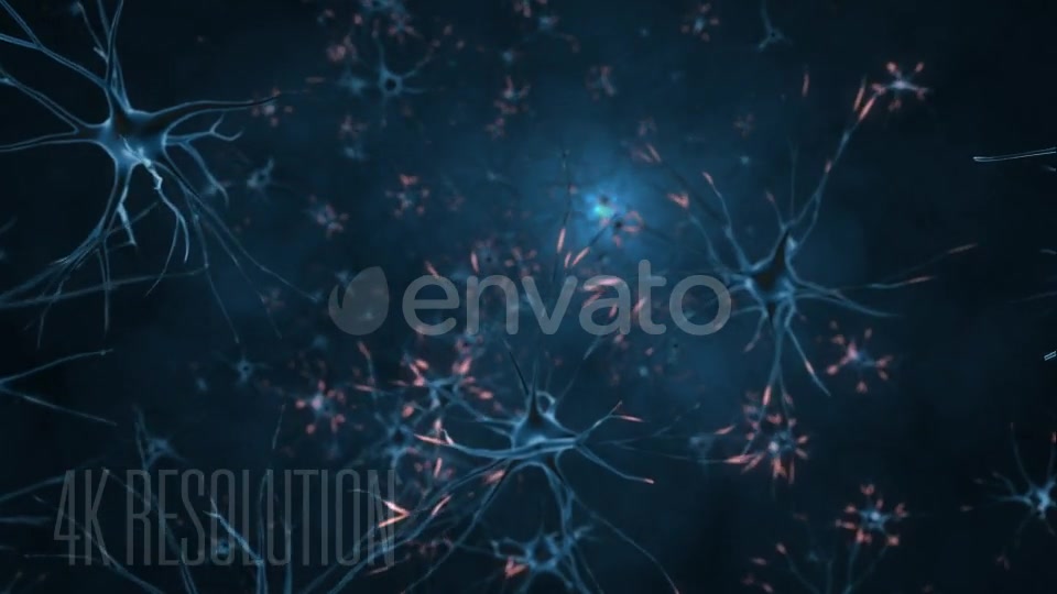 Neurons 4K Videohive 21859058 Motion Graphics Image 4