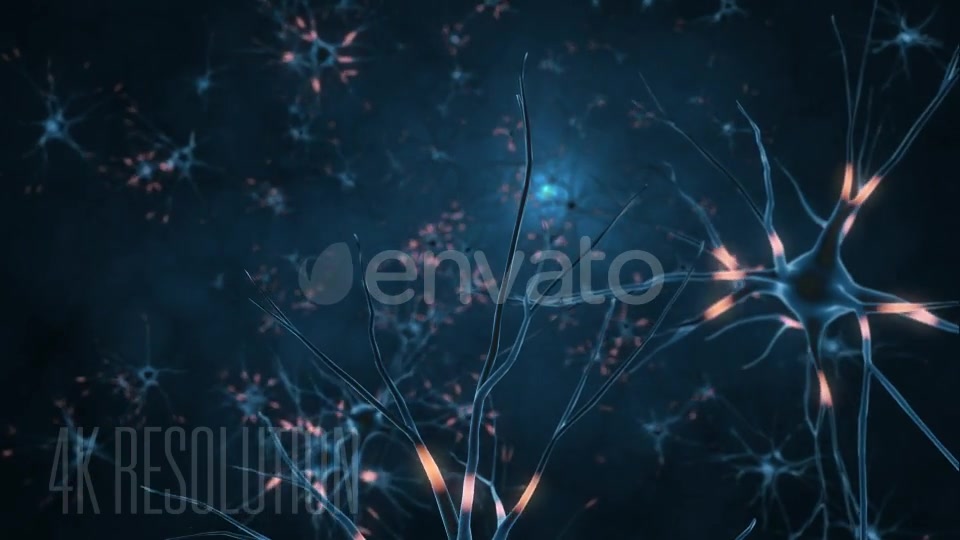 Neurons 4K Videohive 21859058 Motion Graphics Image 5