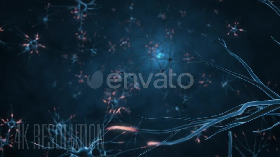 Neurons 4K Videohive 21859058 Motion Graphics Image 6