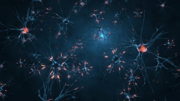 Neurons 4K - Download Videohive 21859058