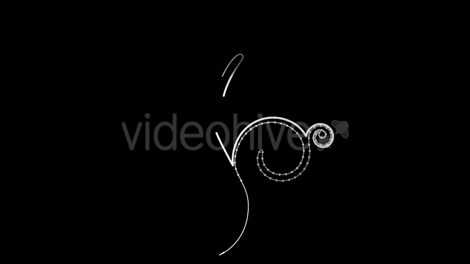 New Style Flourish Animated Shapes Videohive 14325770 Motion Graphics Image 4