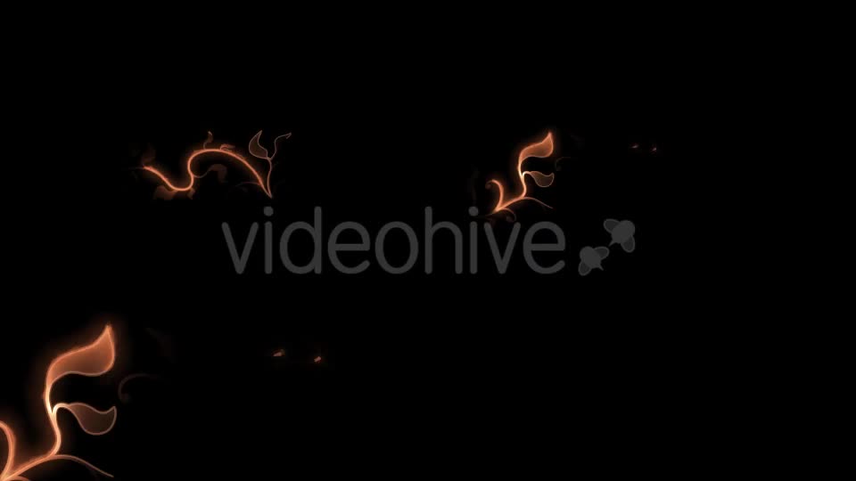 New Style Wedding Lace Shapes Videohive 15245832 Motion Graphics Image 2