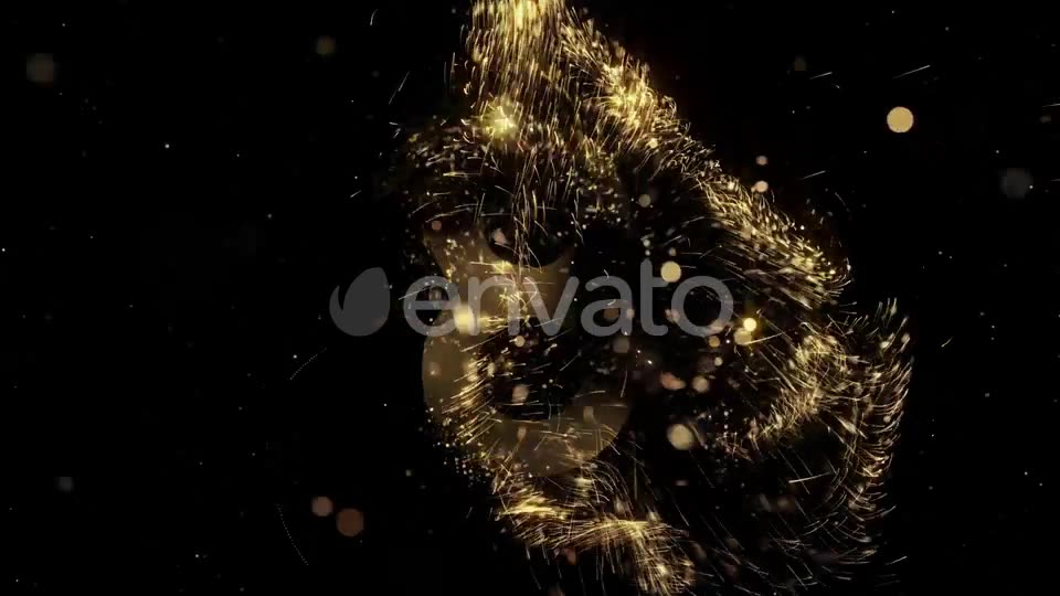 New Year Countdown 2020 Videohive 25297623 Motion Graphics Image 2