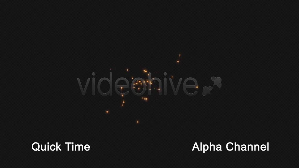 Night Flies Videohive 21024335 Motion Graphics Image 1