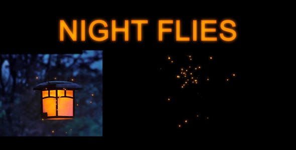 Night Flies - Download Videohive 21024335
