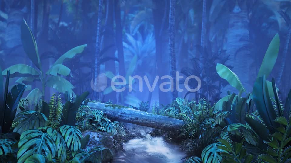 Night Tropical Jungle with a Brook Videohive 23249620 Motion Graphics Image 1