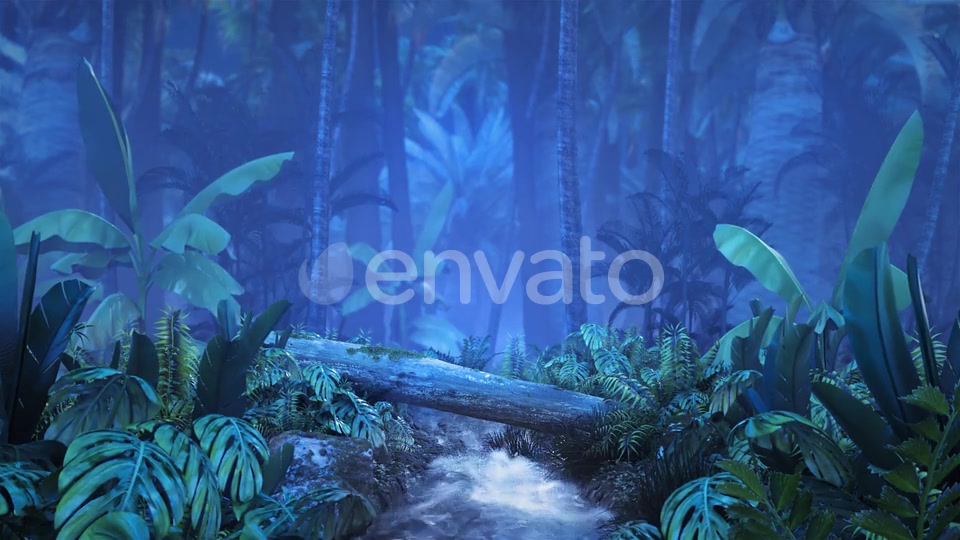 Night Tropical Jungle with a Brook Videohive 23249620 Motion Graphics Image 4