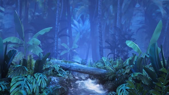 Night Tropical Jungle with a Brook - Videohive 23249620 Download