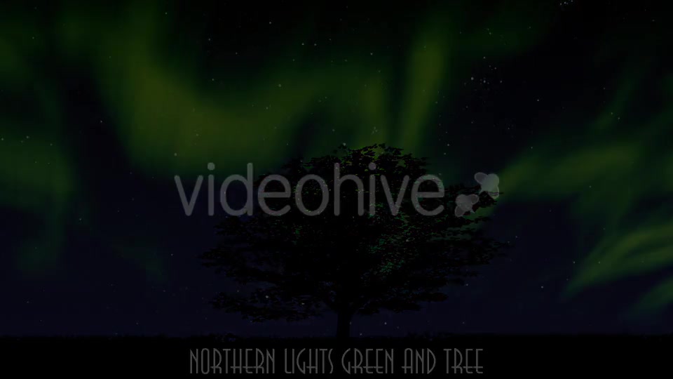 Northern Lights Green Videohive 9677297 Motion Graphics Image 10