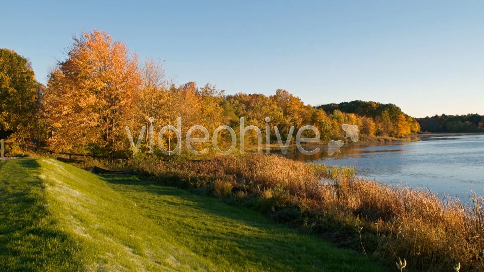 Oak Fall V1 Videohive 8516659 Motion Graphics Image 5