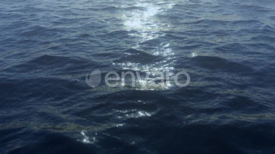 Ocean Flight Videohive 21759194 Motion Graphics Image 7