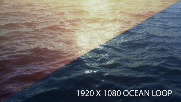 Ocean Flight - Videohive 21759194 Download