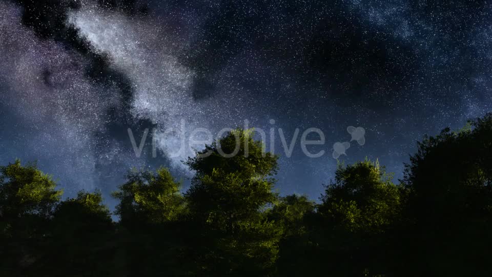 of Stars and Silhouetted Palm Trees Videohive 19072374 Motion Graphics Image 1