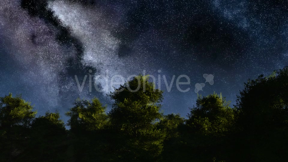 of Stars and Silhouetted Palm Trees Videohive 19072374 Motion Graphics Image 3
