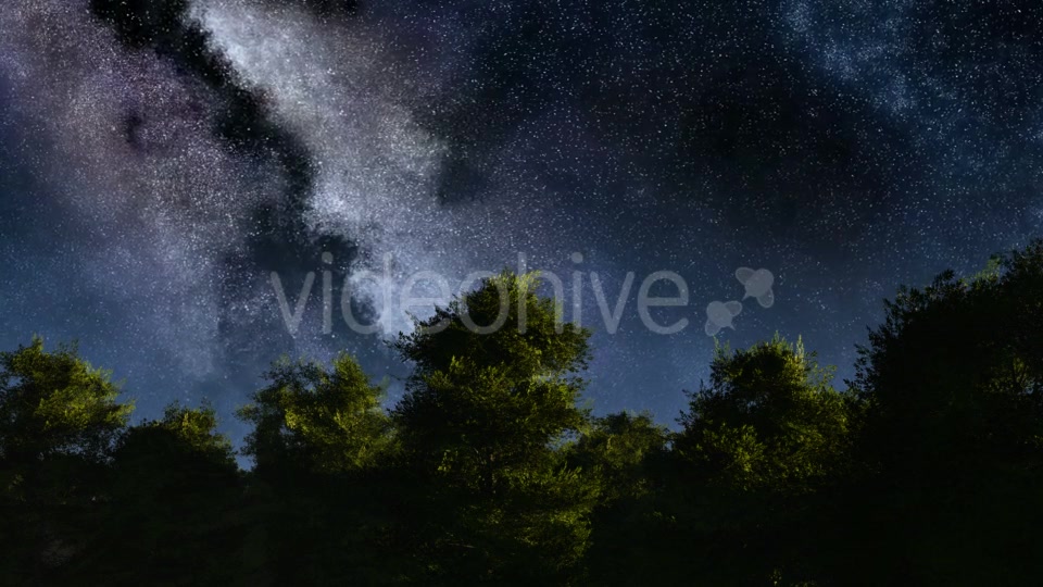 of Stars and Silhouetted Palm Trees Videohive 19072374 Motion Graphics Image 4