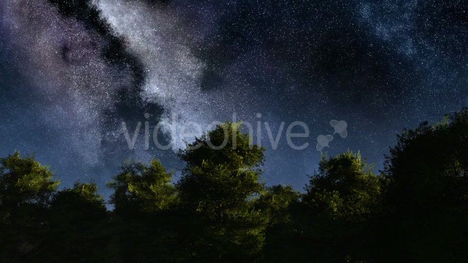 of Stars and Silhouetted Palm Trees Videohive 19072374 Motion Graphics Image 5