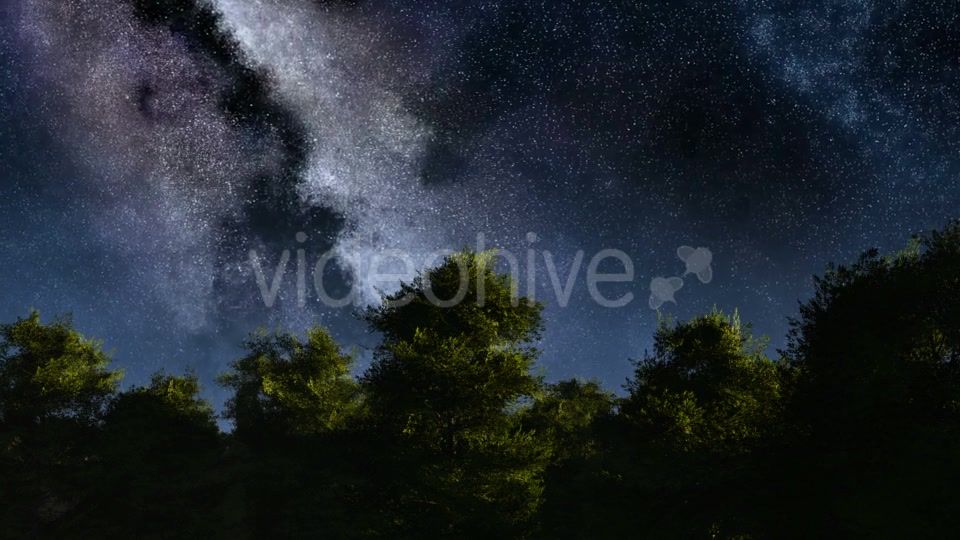 of Stars and Silhouetted Palm Trees Videohive 19072374 Motion Graphics Image 6