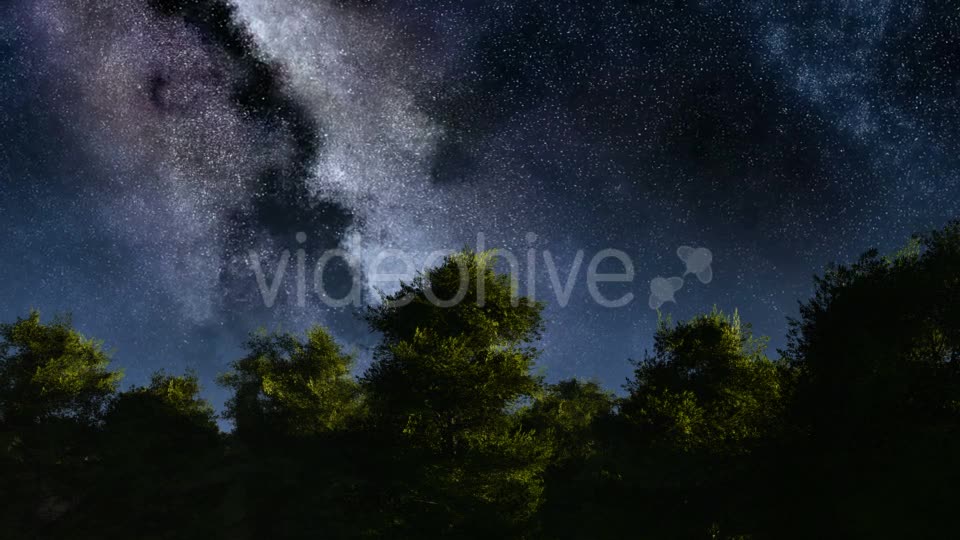 of Stars and Silhouetted Palm Trees Videohive 19072374 Motion Graphics Image 7