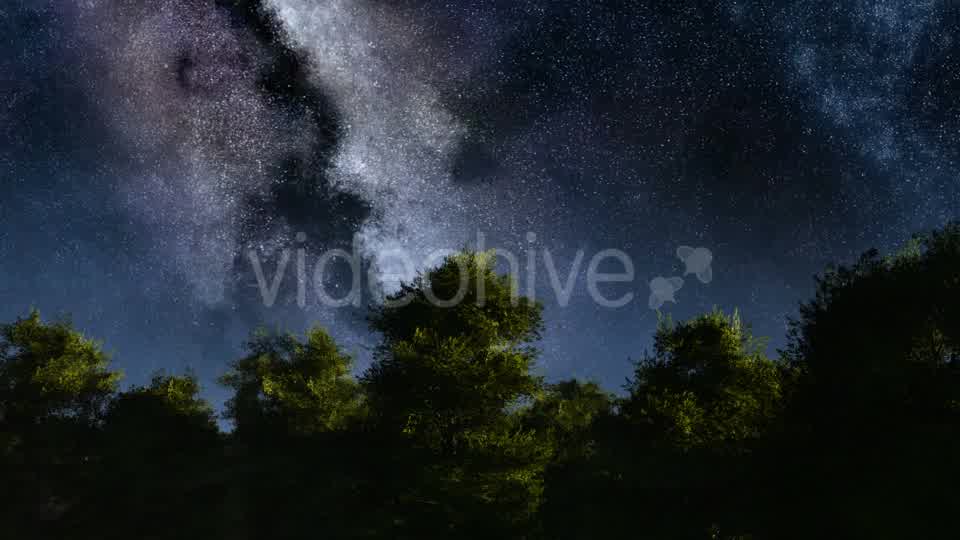 of Stars and Silhouetted Palm Trees Videohive 19072374 Motion Graphics Image 9