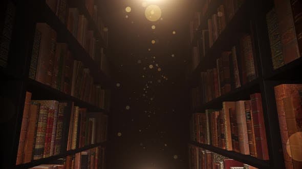 On The Library Shelf 04 HD - Download Videohive 24447485