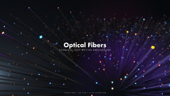 Optical Fibers 1 - 21269485 Download Videohive