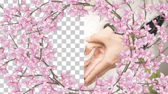 Orchid 03 - 20482613 Videohive Download