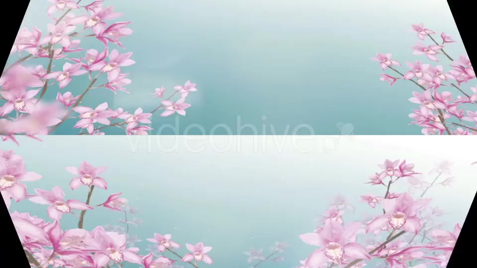 Orchid Background Videohive 20068139 Motion Graphics Image 2