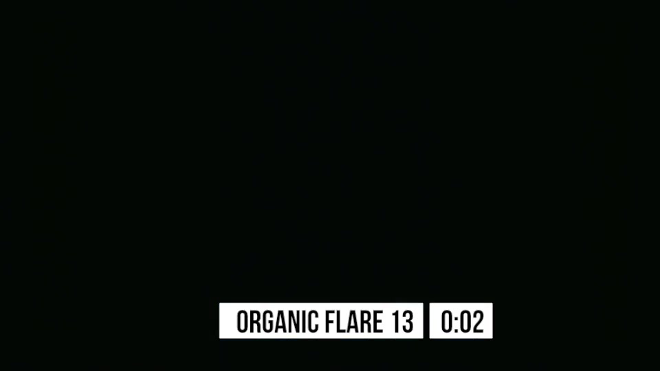 Organic Flares Videohive 14745035 Motion Graphics Image 10