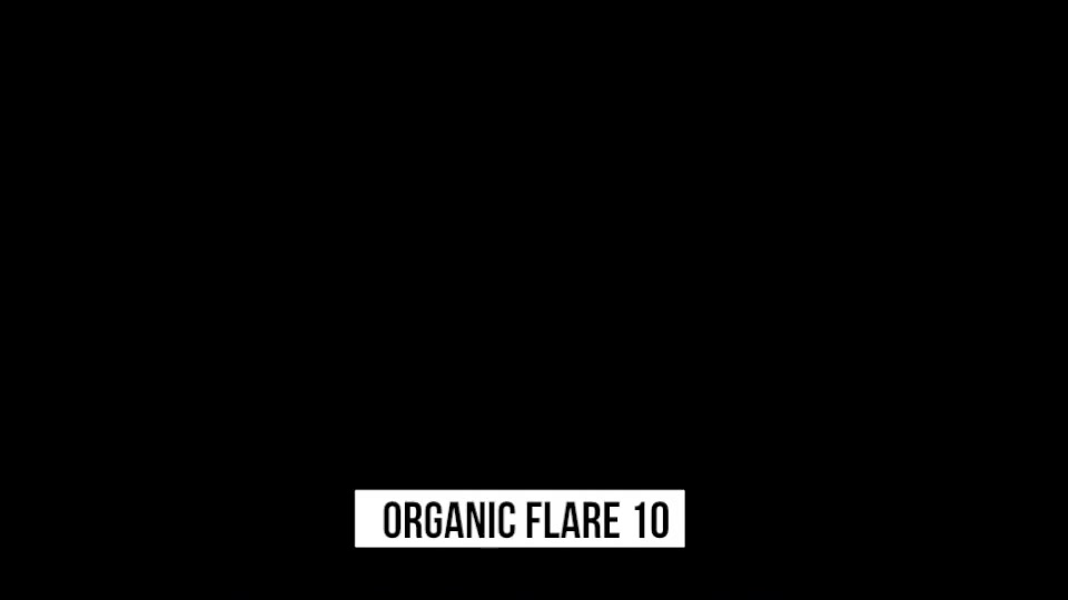 Organic Flares Videohive 14745035 Motion Graphics Image 8