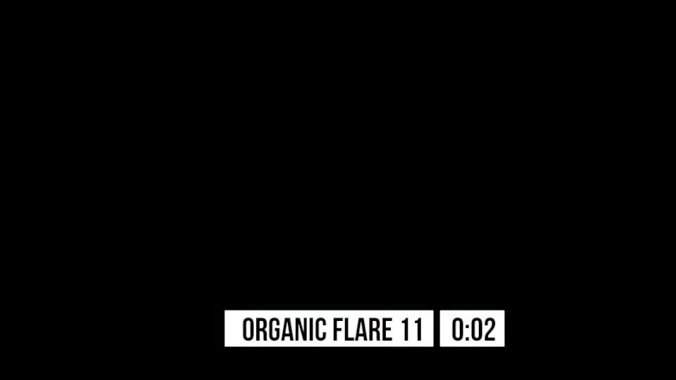 Organic Flares Videohive 14745035 Motion Graphics Image 9