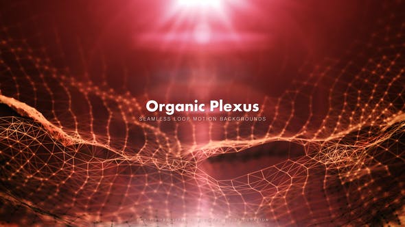 Organic Plexus 2 - Videohive 9406363 Download